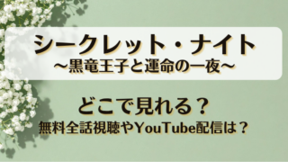 シークレットナイト 黒竜王子と運命の一夜 どこで見れる？無料全話視聴やYouTube配信は？