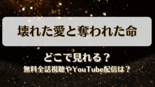 壊れた愛と奪われた命 どこで見れる？無料全話視聴やYouTube配信は？