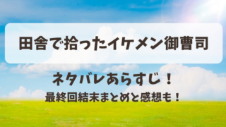 田舎で拾ったイケメン御曹司 ネタバレあらすじ！最終回結末まとめと感想も！