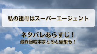 私の祖母はスーパーエージェント ネタバレあらすじ！最終回結末まとめと感想も！