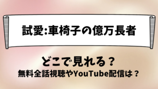 試愛車椅子の億万長者 どこで見れる？無料全話視聴やYouTube配信は？